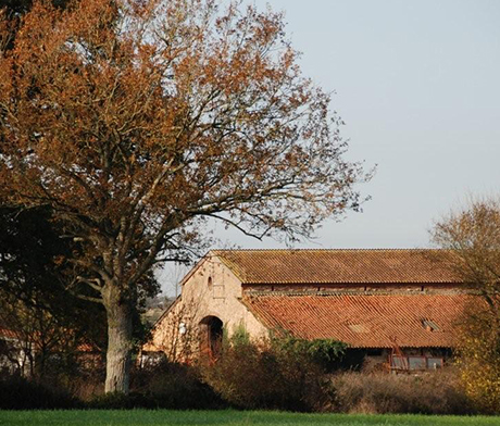 GYMNASTIQUE TOUTLEMONDAISE