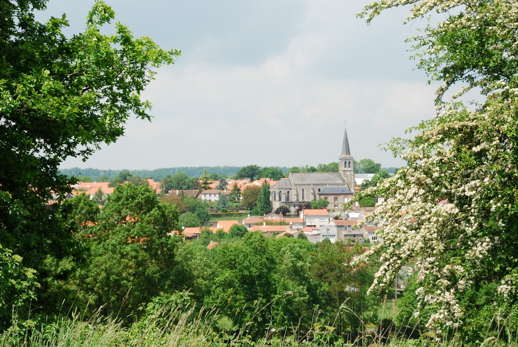 découvrir Site de la commune de Toutlemonde