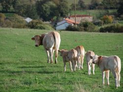 L’agriculture Toutlemondaise