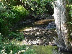 Arrêté N° 3 de limitation des usages de l’eau