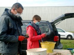 Des pommes de terre pour Yargo