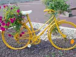 La Semaine fédérale de cyclotourisme