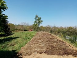 Projet citoyen “Plantes mellifères”