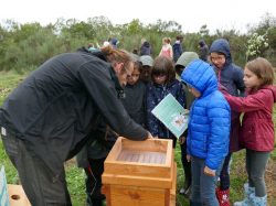 Projet citoyen « Plantes mellifères »