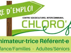 CSI : Offre d’emploi Animateur(trice) référent(e)