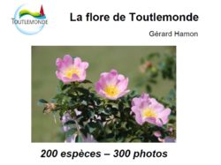 Dédicace du livre “La flore de Toutlemonde” par Gérard Hamon