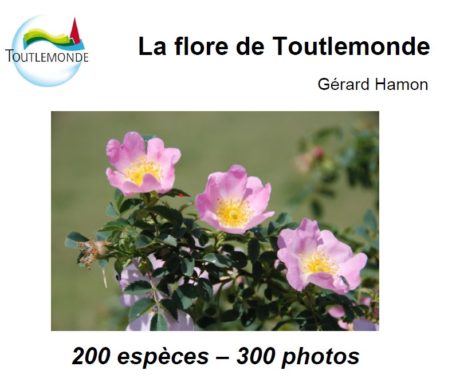 Dédicace du livre “La flore de Toutlemonde” par Gérard Hamon