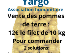 VENTE DES POMMES DE TERRE AU PROFIT DE YARGO