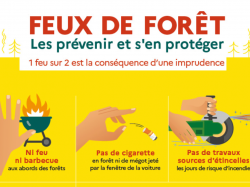 Risque de feux de forêt élevé les 11 et 12 août