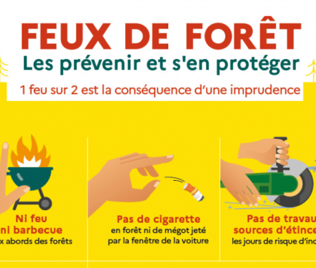 Risque de feux de forêt élevé les 11 et 12 août