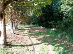 TRAVAUX EN COURS – Terrassement pour la tyrolienne