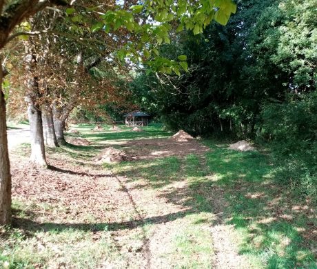 TRAVAUX EN COURS – Terrassement pour la tyrolienne