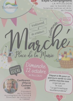 RETOUR EN IMAGES SUR NOTRE MARCHE DE DIMANCHE 12 OCTOBRE 2025