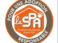 SORTIE – VISITE DE LA SPA AVEC LE CONSEIL MUNICIPAL DES ENFANTS LE 30 OCTOBRE 2025