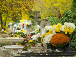 Info citoyens -Entretien du cimetière