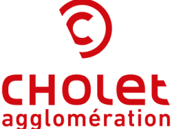 Collecte des coquillages et des sapins de Noël