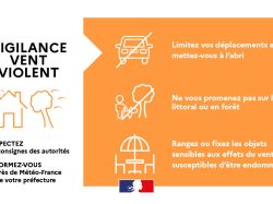 VIGILANCE ORANGE VENT / TEMPETE