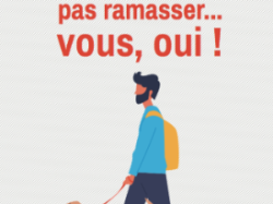 Rappel de la réglementation sur les déjections canines