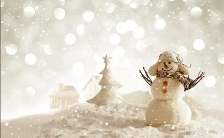 TOUTLEMONDE SOUS LA NEIGE