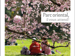 SYNERGENCES HEBDO – LE JOURNAL DE L’AGGLOMERATION