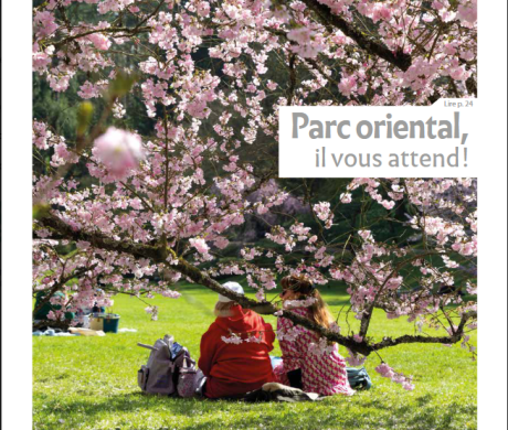 SYNERGENCES HEBDO – LE JOURNAL DE L’AGGLOMERATION