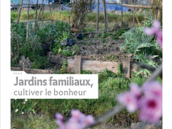SYNERGENCES HEBDO – LE JOURNAL DE L’AGGLOMERATION