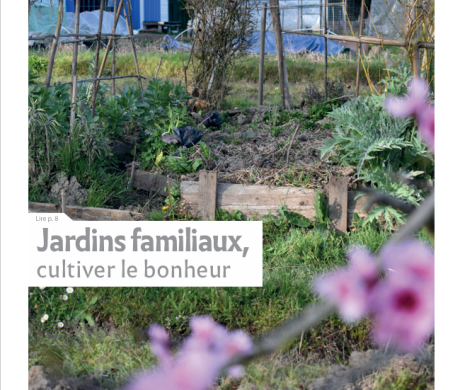SYNERGENCES HEBDO – LE JOURNAL DE L’AGGLOMERATION