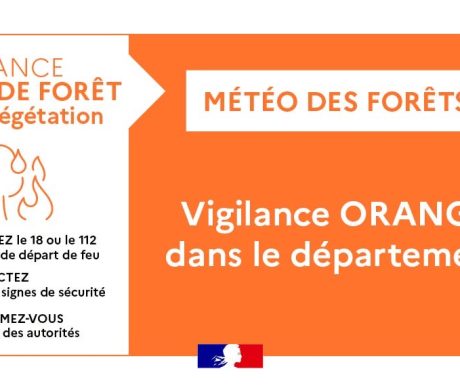 VIGILANCE ORANGE – FEUX DE FORET ET DE VEGETATION